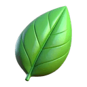 Chlorophyll